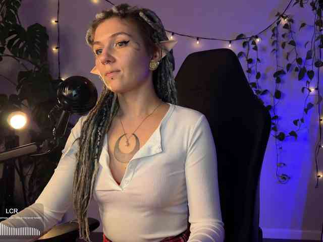 SOVA_tut webcam