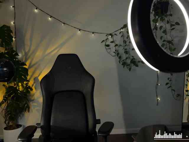 SOVA_tut webcam