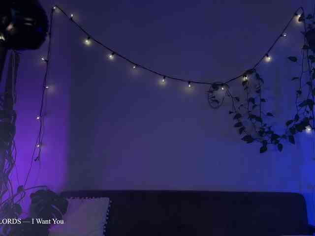 SOVA_tut webcam