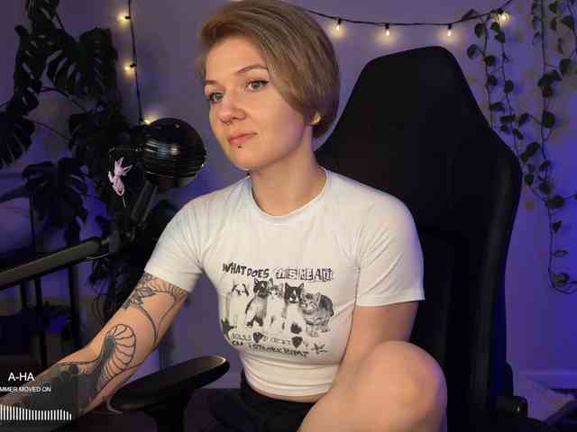 SOVA_tut webcam