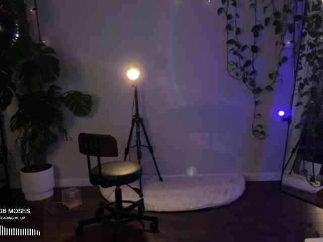 SOVA_tut webcam