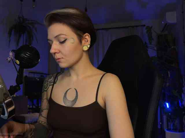 SOVA_tut webcam