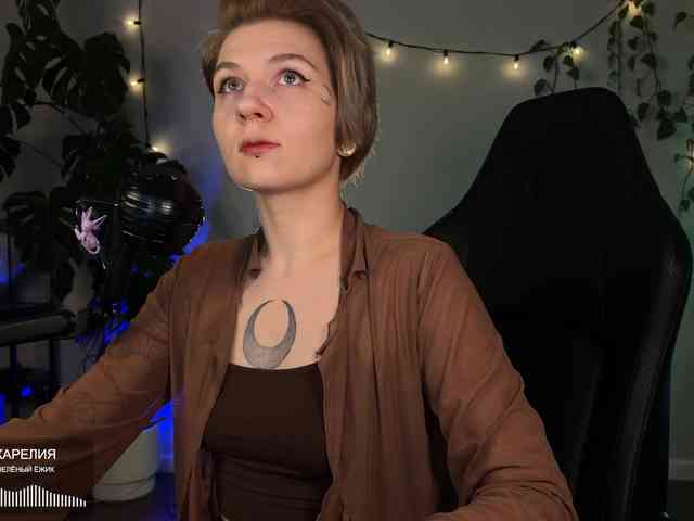 SOVA_tut webcam