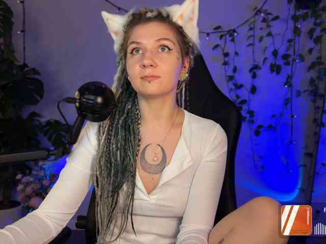 SOVA_tut webcam