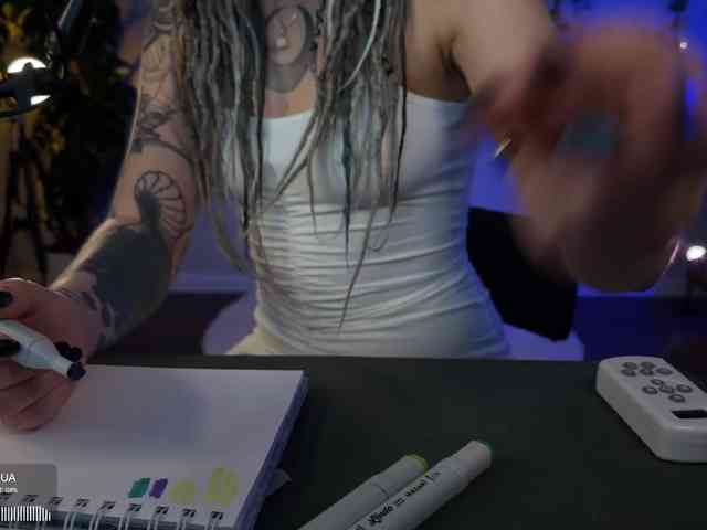 SOVA_tut webcam