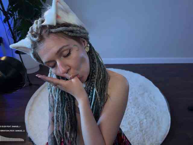 SOVA_tut webcam
