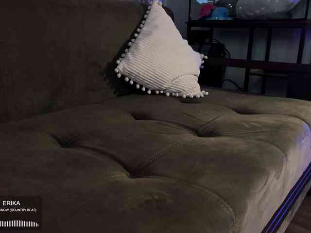SOVA_tut webcam