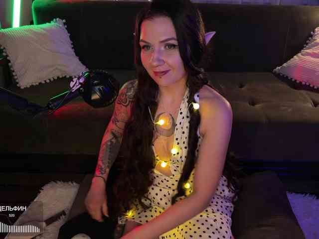 SOVA_tut webcam