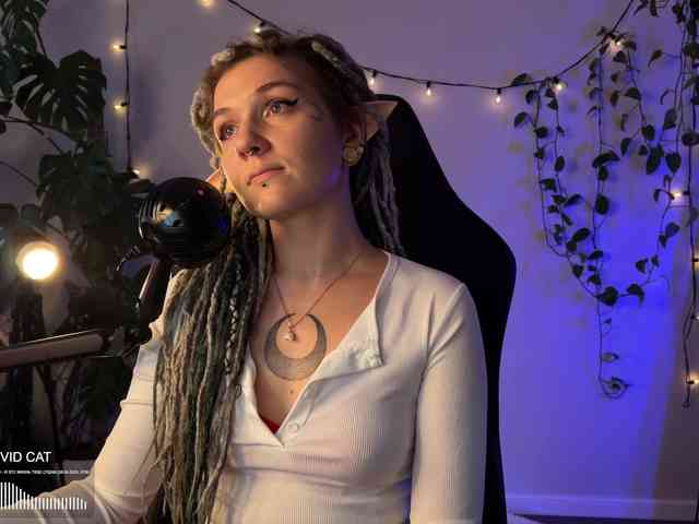 SOVA_tut webcam