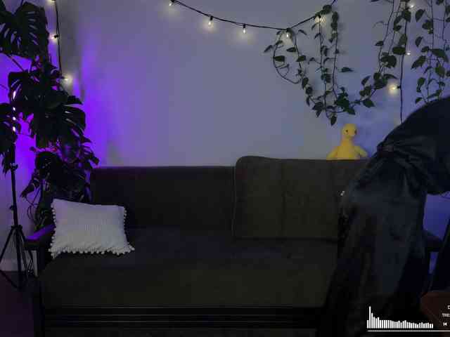 SOVA_tut webcam