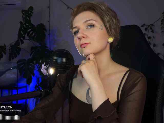 SOVA_tut webcam