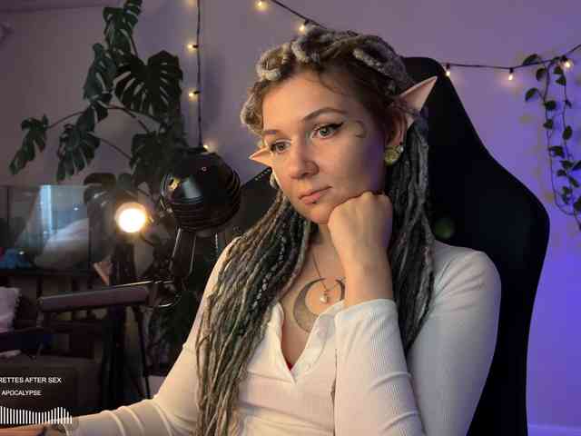 SOVA_tut webcam