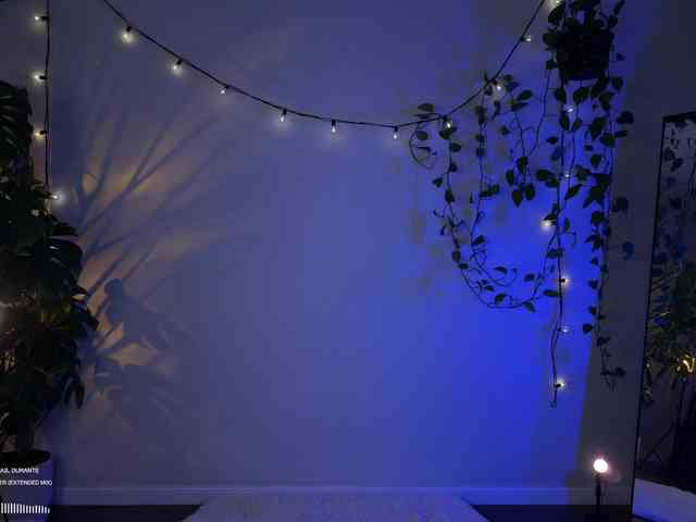 SOVA_tut webcam