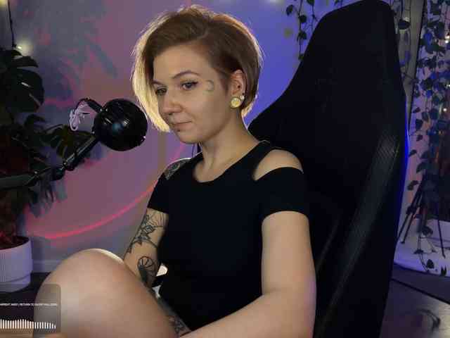 SOVA_tut webcam