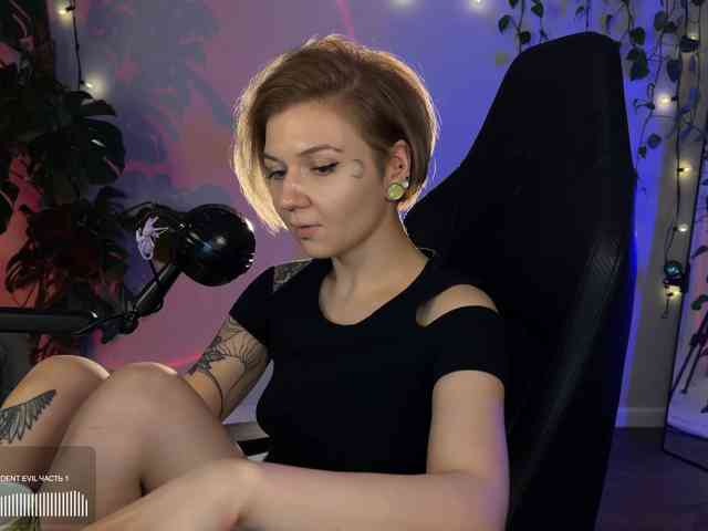 SOVA_tut webcam