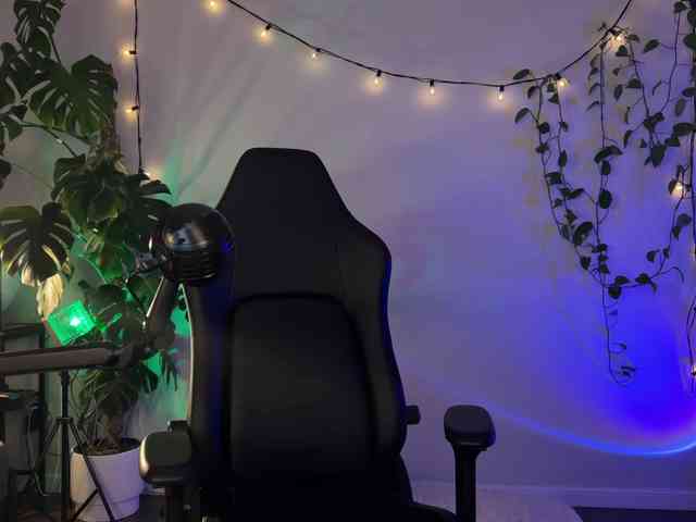 SOVA_tut webcam