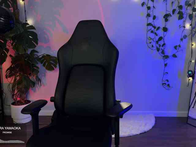SOVA_tut webcam