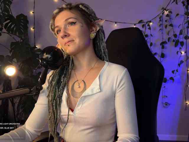 SOVA_tut webcam