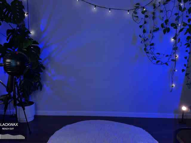 SOVA_tut webcam
