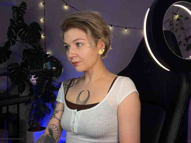SOVA_tut webcam
