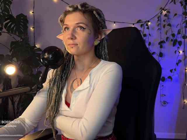 SOVA_tut webcam