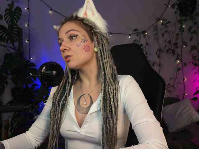 SOVA_tut webcam