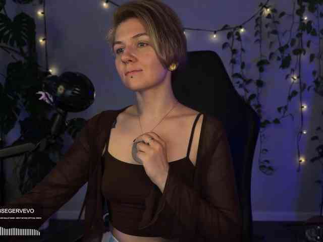SOVA_tut webcam
