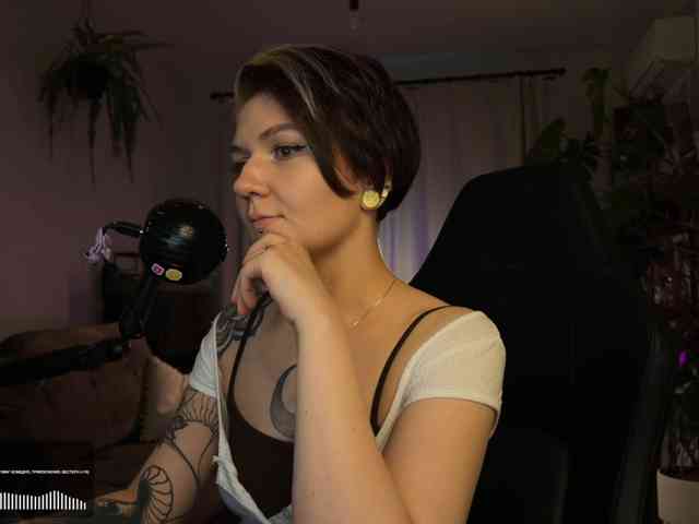 SOVA_tut webcam