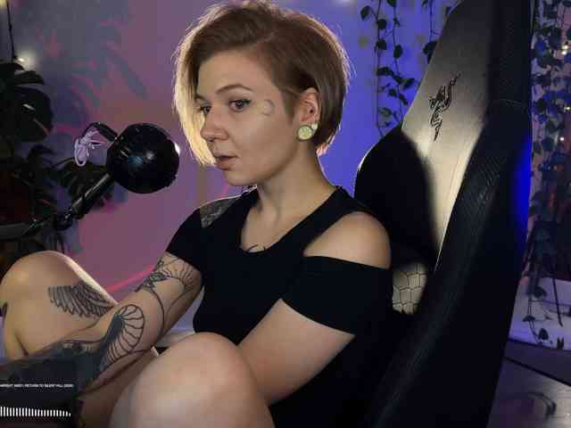 SOVA_tut webcam