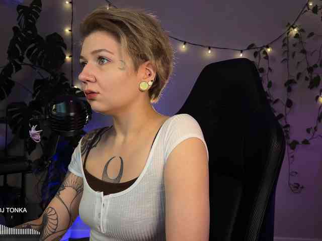 SOVA_tut webcam