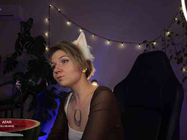 SOVA_tut webcam