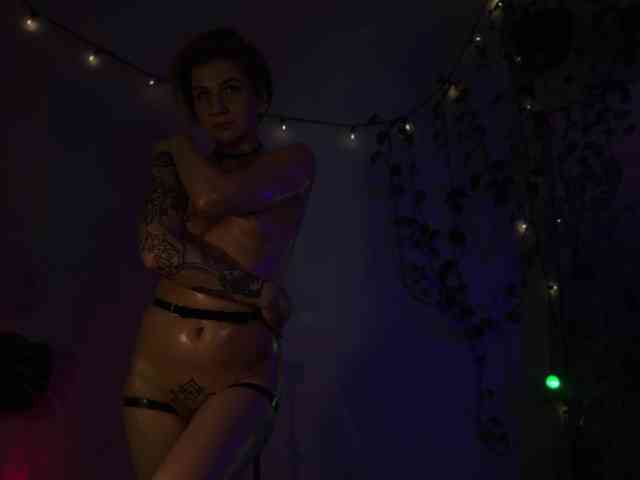 SOVA_tut webcam