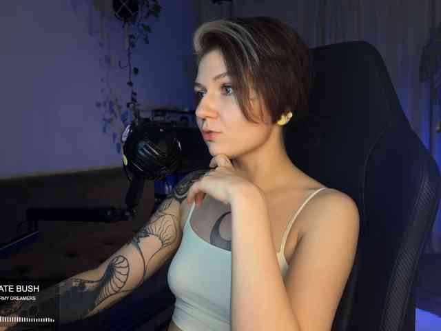SOVA_tut webcam