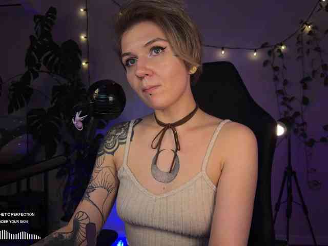 SOVA_tut webcam