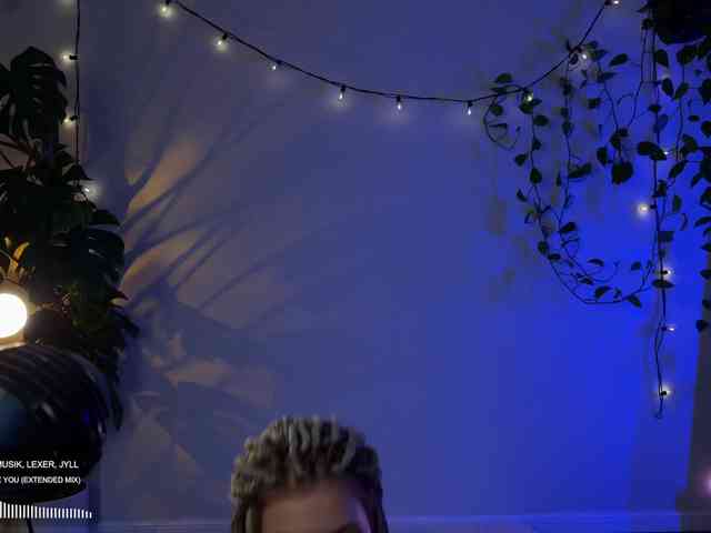 SOVA_tut webcam