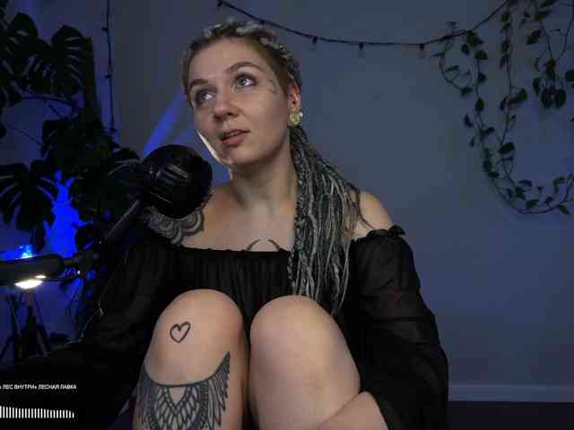 SOVA_tut webcam