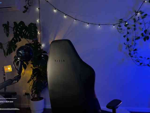 SOVA_tut webcam