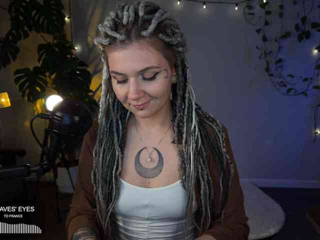 SOVA_tut webcam