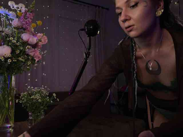 SOVA_tut webcam