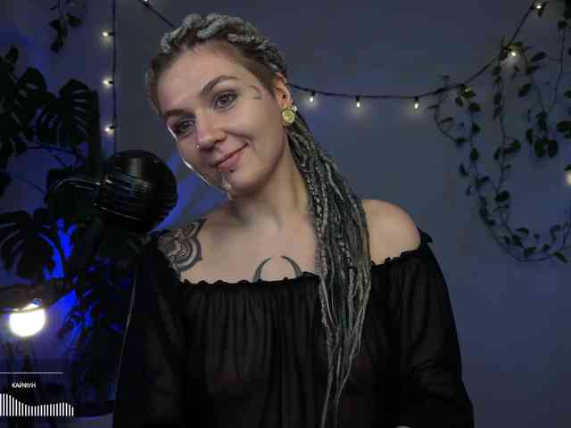 SOVA_tut webcam