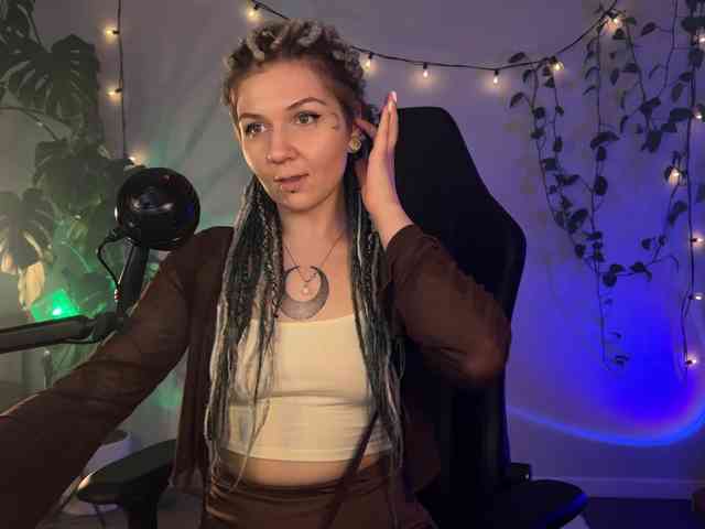 SOVA_tut webcam
