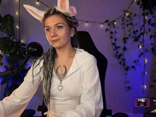 SOVA_tut webcam