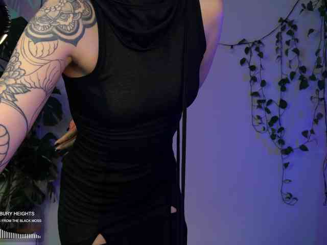 SOVA_tut webcam