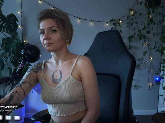 SOVA_tut webcam