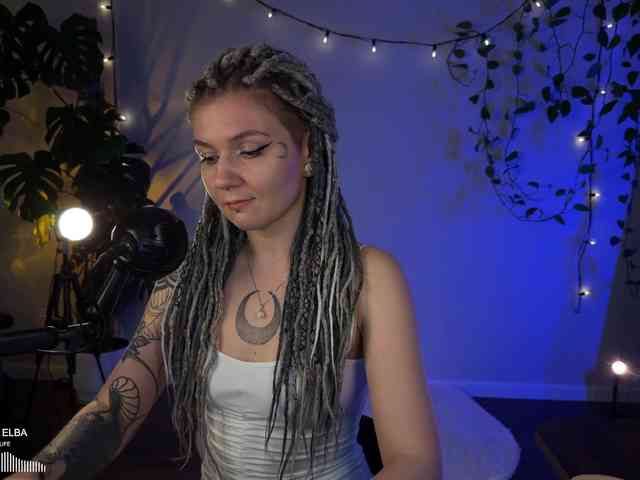 SOVA_tut webcam