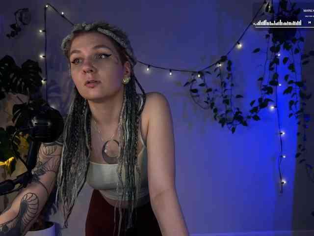 SOVA_tut webcam