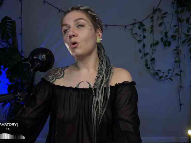 SOVA_tut webcam