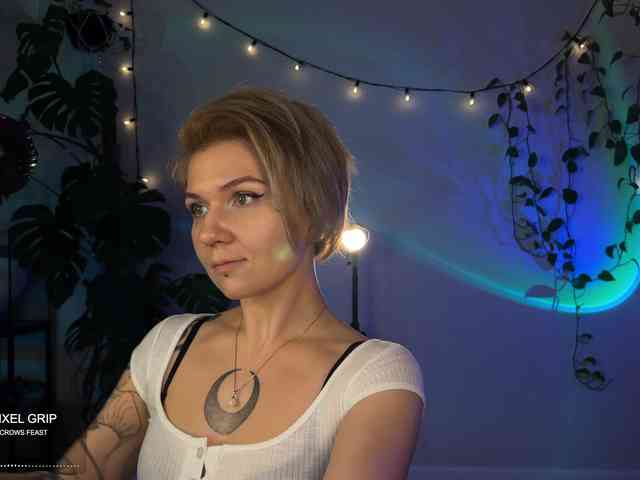 SOVA_tut webcam