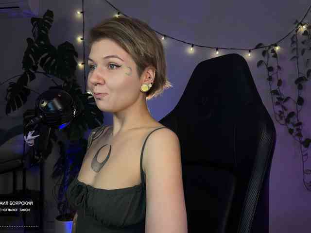 SOVA_tut webcam