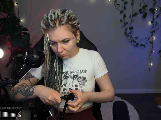 SOVA_tut webcam
